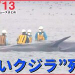 【ニュースライブ】大阪湾 “迷いクジラ”死ぬ /福島第一原発処理水の海洋放出「ことし春から夏頃」/ 14日未明に「日米首脳会談」――最新ニュースまとめ（日テレNEWSLIVE）