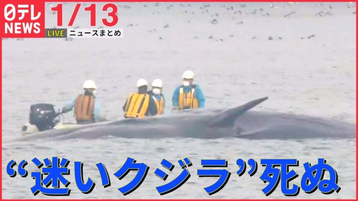【ニュースライブ】大阪湾 “迷いクジラ”死ぬ /福島第一原発処理水の海洋放出「ことし春から夏頃」/ 14日未明に「日米首脳会談」――最新ニュースまとめ（日テレNEWSLIVE）