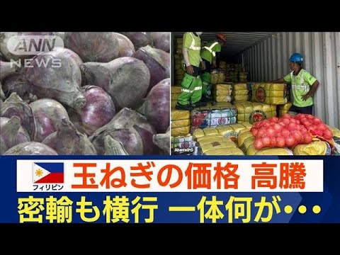 フィリピンでタマネギ高騰…“密輸”も横行　価格は鶏肉の3倍「早く安くなって」(2023年1月14日)