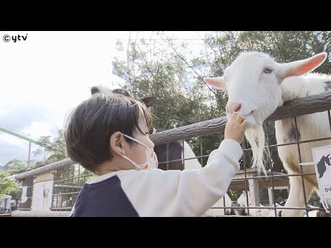 和歌山・白浜「アドベンチャーワールド」鳥インフルエンザ発生のエリアで一部営業再開