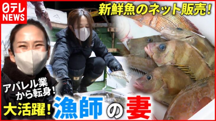 【大活躍】元アパレル店員！魚初心者の”漁師の妻”が新鮮魚をネット販売　愛媛　NNNセレクション