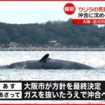 【クジラの死骸“海に帰す”】沖合に沈める方針固める 大阪市
