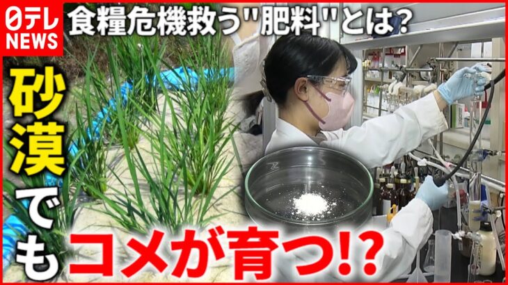 【最新研究】食糧危機を解決!? 砂漠でも米を栽培できる”肥料”とは？　徳島　NNNセレクション