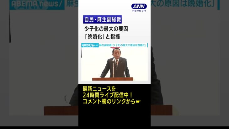 自民・麻生副総裁　少子化の最大の要因は「晩婚化」と指摘#shorts