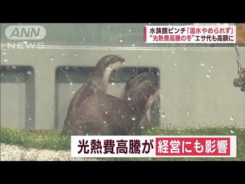 【光熱費高騰の冬】水族館や銭湯もピンチ　「ガス代約100万」でギリギリの経営(2023年1月17日)