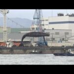 大阪湾の「迷いクジラ」船に引き揚げられる　この後ガス抜き作業や学術調査へ
