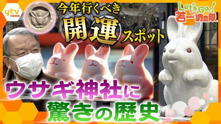 【若一調査隊】ウサギを“神使”として祀るのには深い歴史と理由が！ウサギづくしの神社の秘密を新生調査隊が徹底解明