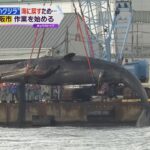 大阪湾の「迷いクジラ」船に引き揚げ、ガス抜き作業と学術調査実施　あす紀伊水道に運び海に沈める予定