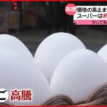 【“高騰”続ける卵】赤字覚悟で特売するスーパーも… お安く買う方法は？
