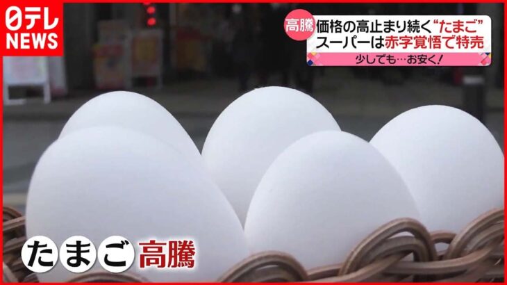 【“高騰”続ける卵】赤字覚悟で特売するスーパーも… お安く買う方法は？