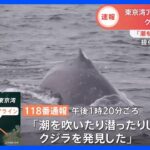 【速報】今度は“東京湾”でクジラ目撃　海上保安部の巡視船が大型海洋生物を確認　アクアライン近く｜TBS NEWS DIG