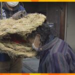 大蛇に頭をかまれて健康祈願！京都・宮津市の伝統行事「蛇綱祭り」開催