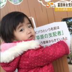 ２歳女児死亡事件めぐり大阪府の検証部会『市の調査や分析が不十分だった』報告書公表（2023年1月20日）