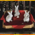 干支のウサギの置物４体、神社から盗まれる　「罰当たりや、情けない」大阪・吹田市