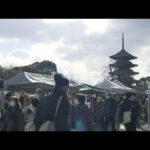 京都・東寺で今年初めての縁日「初弘法」　骨董品や野菜などを求める人たちで賑わう（2023年1月21日）
