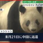 【来月中国に返還】上野動物園のシャンシャン　きょうから事前抽選制の観覧に