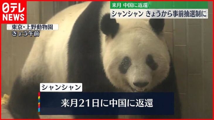 【来月中国に返還】上野動物園のシャンシャン　きょうから事前抽選制の観覧に