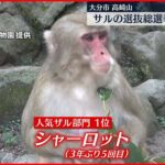 【サルの選抜総選挙】結果発表　「人気ザル部門」1位は3年ぶりに…　高崎山