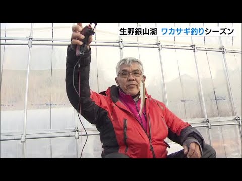 生野銀山湖で「ワカサギ釣り」　ときには１５ｃｍを超える大物も　兵庫・朝来市（2023年1月22日）