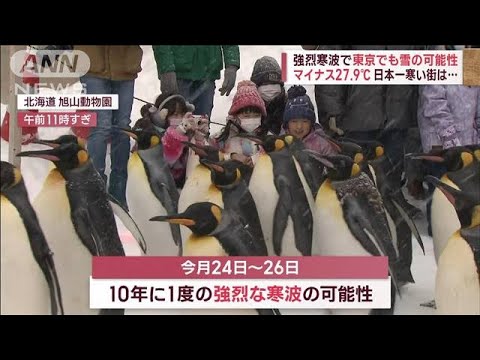 【寒波襲来】東京でも雪？駆け込みで備えも　北海道では“冬の災害”に警戒(2023年1月22日)