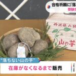 粘りが半端ない！合格祈願「落ちない山の芋」受験生ら買い求める(2023年1月23日)