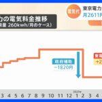 東京電力　半数以上の家庭が契約している電気料金プランについて29.3%の値上げを申請｜TBS NEWS DIG