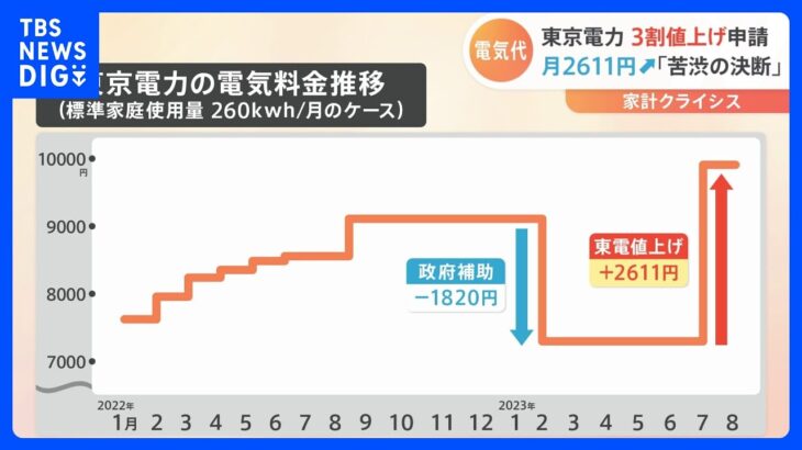 東京電力　半数以上の家庭が契約している電気料金プランについて29.3%の値上げを申請｜TBS NEWS DIG