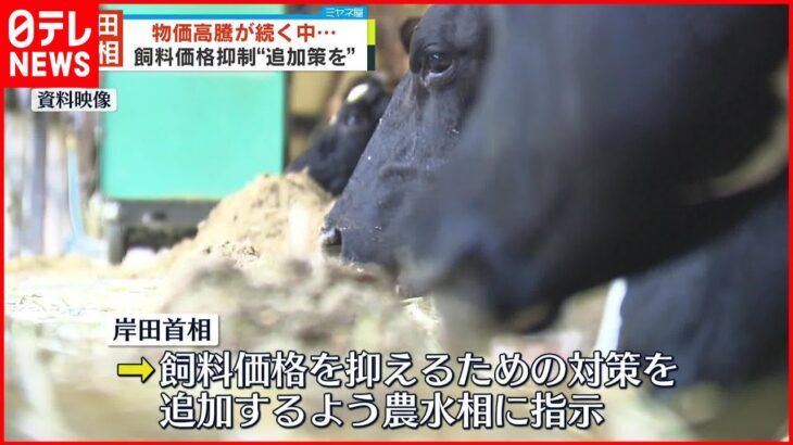 【岸田首相】飼料価格抑制の追加策を指示…畜産物高騰の恐れに