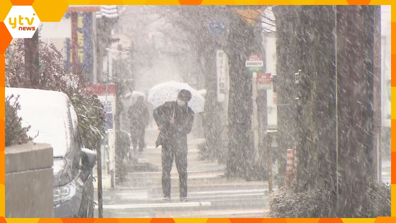 雪のピークはこれから　リスク避け＂早めの備え＂を　寒さに弱い子牛に防寒ジャケットを着せ…準備進む