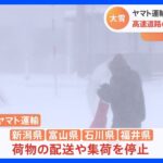 ヤマトが新潟、富山、石川、福井で配送・集荷停止　今季最強寒波による大雪で物流にも影響が発生｜TBS NEWS DIG