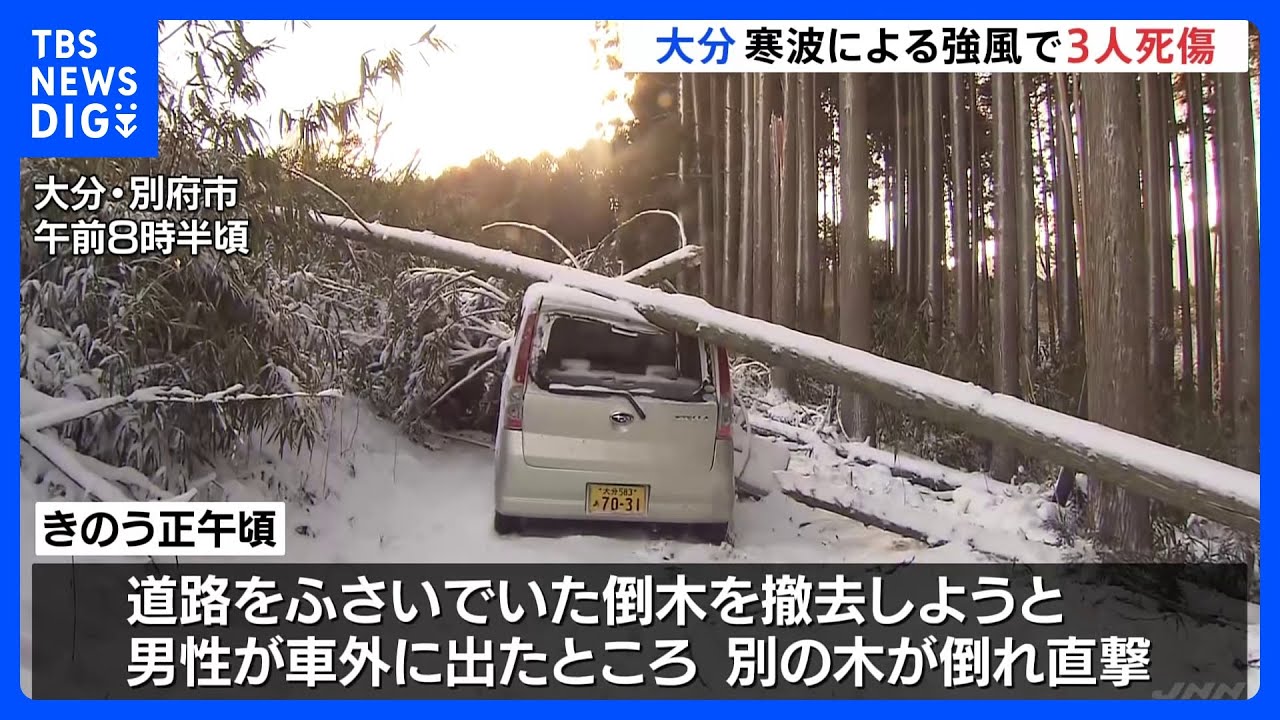 道路をふさぐ倒木を撤去しようと車外に出たところ別の木の下敷きに　男性（62）死亡　大分県内で寒波による強風で3人死傷【最強寒波】｜TBS&nbsp;NEWS&nbsp;DIG
