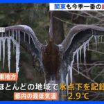 “最強寒波”　関東ほぼ全域で氷点下　都内でつらら　水戸では路面凍結で事故発生｜TBS NEWS DIG