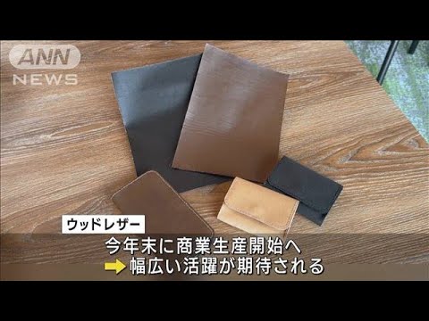 【ウッドレザー】木材が主原料の「レザー製品」　環境保護や動物愛護のニーズに対応(2023年1月25日)