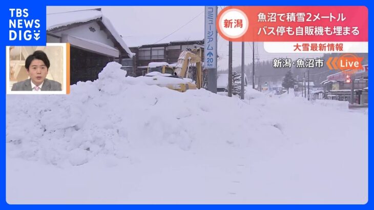 【最強寒波】バス停も自販機も雪で埋まる…新潟・魚沼市で積雪2メートル｜TBS NEWS DIG