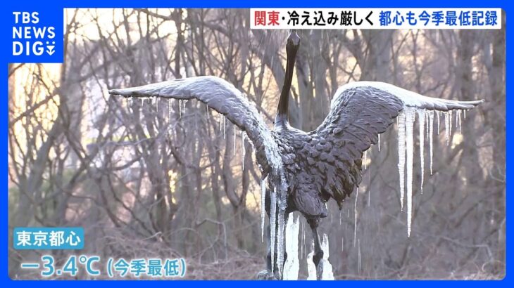 【最強寒波】「皇居のお堀が凍ってる」「見たことない」26日、東京都心では今季最低-3.4℃を記録｜TBS NEWS DIG