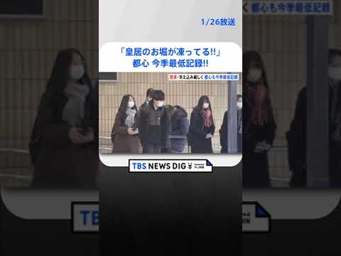 【最強寒波】「皇居のお堀が凍ってる」「見たことない」26日、東京都心では今季最低-3.4℃を記録 | TBS NEWS DIG #shorts