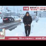 “雪の段差”で車動けず　積雪急増で追い付かない除雪　新潟・長岡市(2023年1月26日)