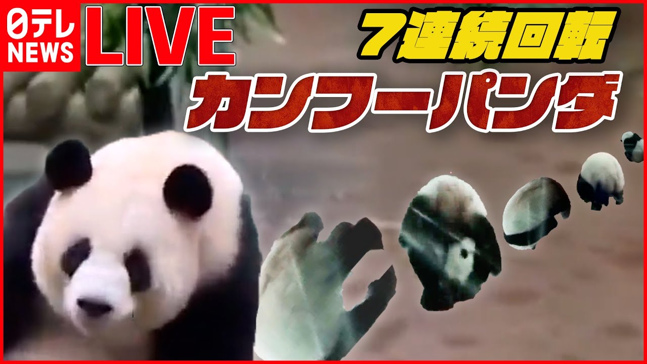 【どうぶつまとめ】クルンクルンッ…華麗なでんぐり返し7連続！　“カンフーパンダ”中国で話題/精肉店に“シカ”が来店 など 　 (日テレNEWS LIVE)