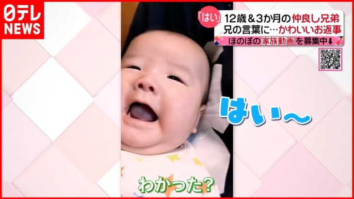 【投稿動画】兄の呼びかけに…３か月の赤ちゃんのカワイイお返事『every.特集』