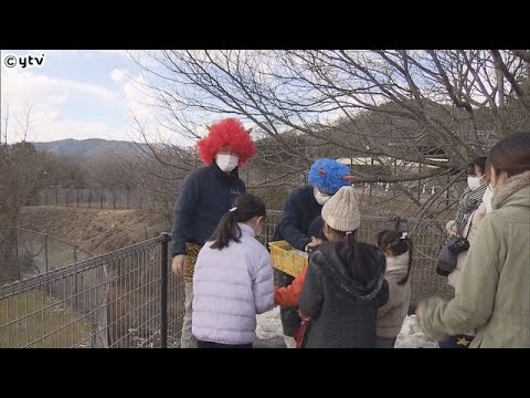 節分イベントで動物と触れ合い　姫セン