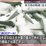 【雪の影響】鳥取・米子市の特産「白ネギ」が大雪の被害　県などが視察