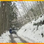 大雪で京都・南丹市の２世帯が孤立状態に　３０日朝から道路の復旧作業　約７０軒で停電が発生