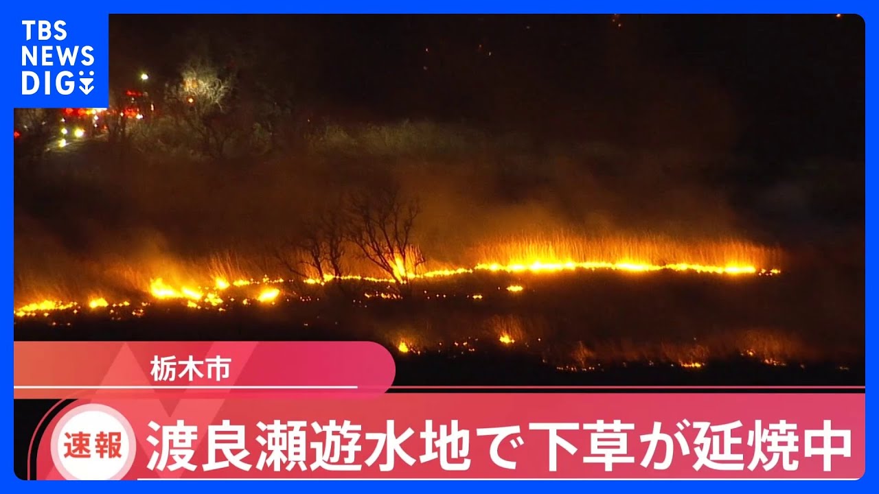 【速報】栃木市の渡良瀬遊水地で下草火災　延焼中｜TBS&nbsp;NEWS&nbsp;DIG