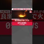 【速報】渡良瀬遊水地で下草が燃える火事 けが人の情報なし 消火活動続く #Shorts