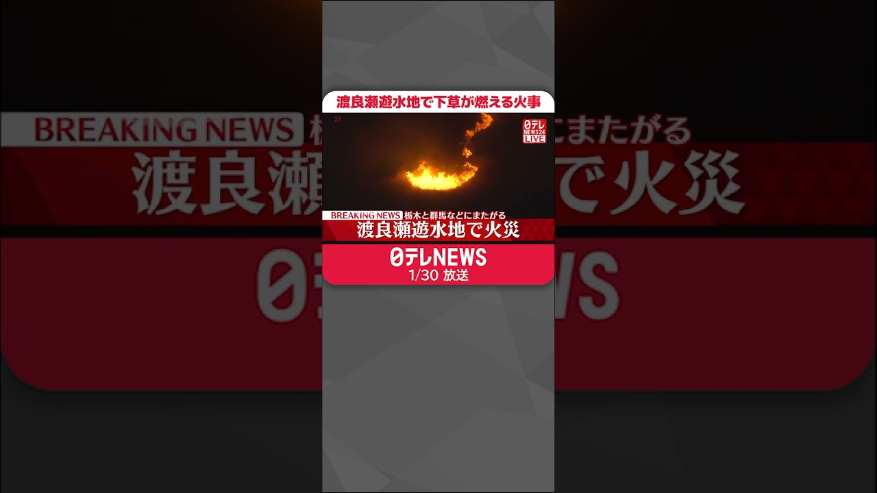 【速報】渡良瀬遊水地で下草が燃える火事 けが人の情報なし 消火活動続く #Shorts
