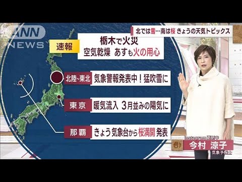 【関東の天気】沖縄で日本一早く「桜満開」　寒さほっと一息も暖かさは1日限定(2023年1月30日)