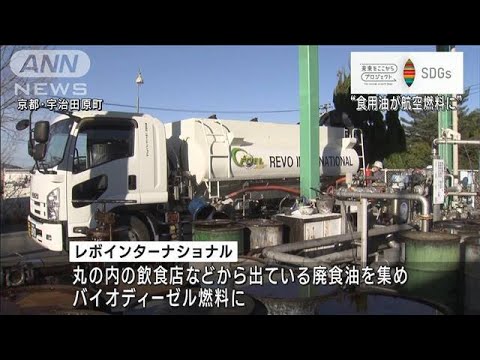 使用済みの天ぷら油がエコな航空燃料に！　国産初の大量生産に向けて本格化【SDGs】(2023年1月31日)