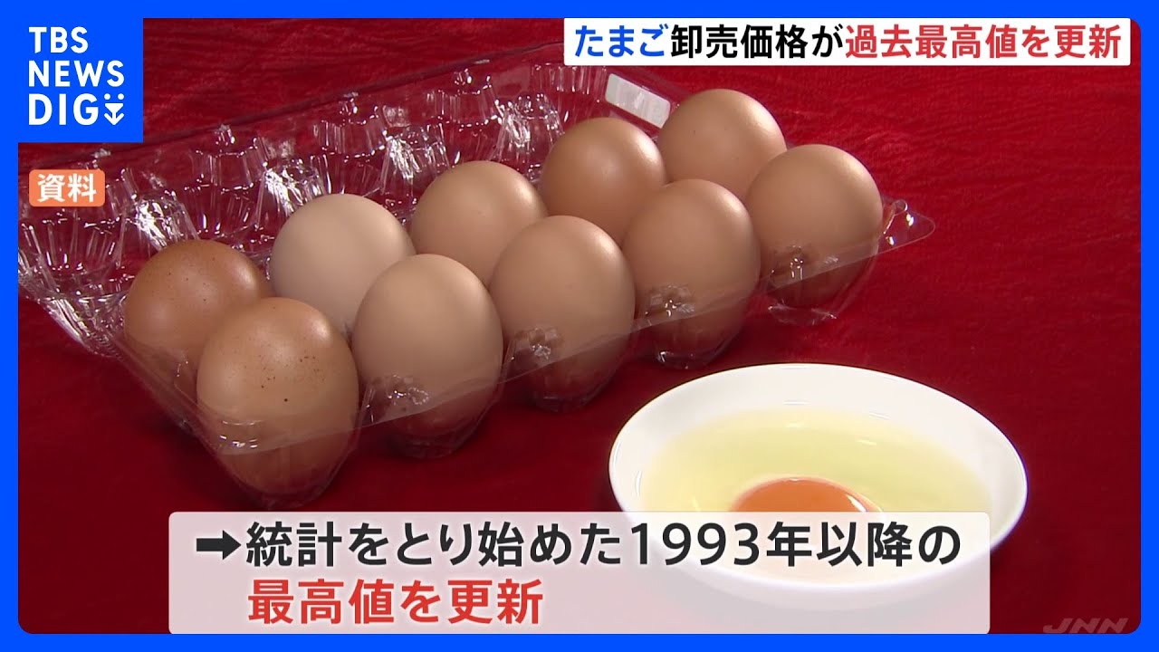 “物価の優等生”たまごの卸売価格が過去最高値を更新…鳥インフルエンザによる鶏の殺処分が影響…今シーズンはすでに1100万羽以上の採卵鶏が殺処分｜TBS&nbsp;NEWS&nbsp;DIG