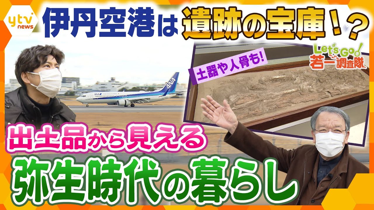 【若一調査隊】滑走路の下に遺跡！？伊丹空港周辺から見つかった数々の発見から弥生時代の暮らしに迫る！