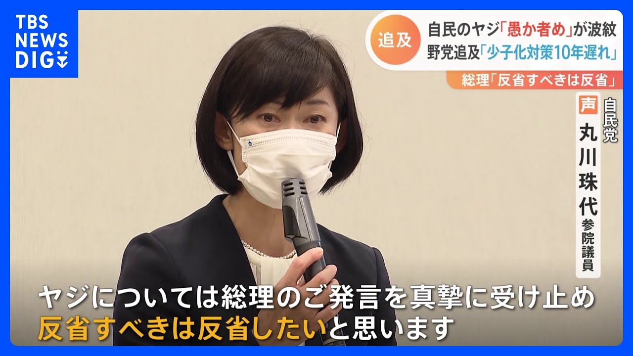 「愚か者めが、このくだらん選択をしたバカ者ども絶対忘れん」丸川珠代議員が過去のヤジ「反省」　民主党政権期の子ども手当法案の採決｜TBS&nbsp;NEWS&nbsp;DIG